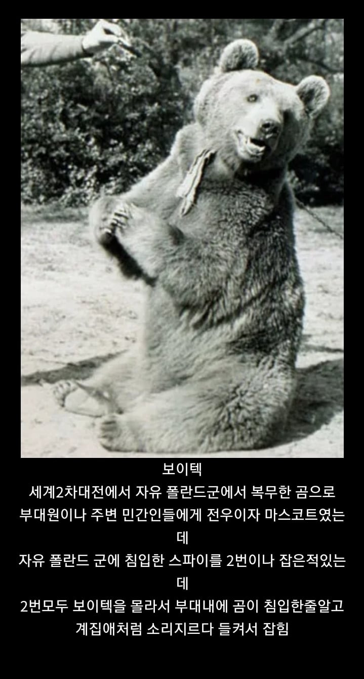 모르면 간첩의 실제사례