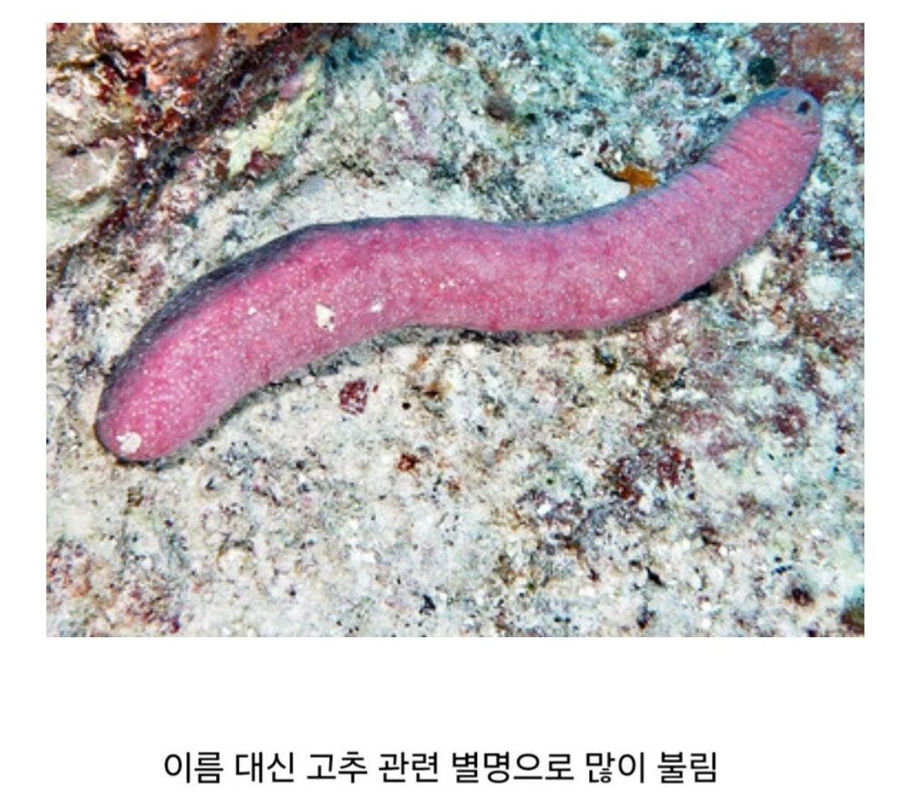 중고딩 때 고추 큰 애들 특징.