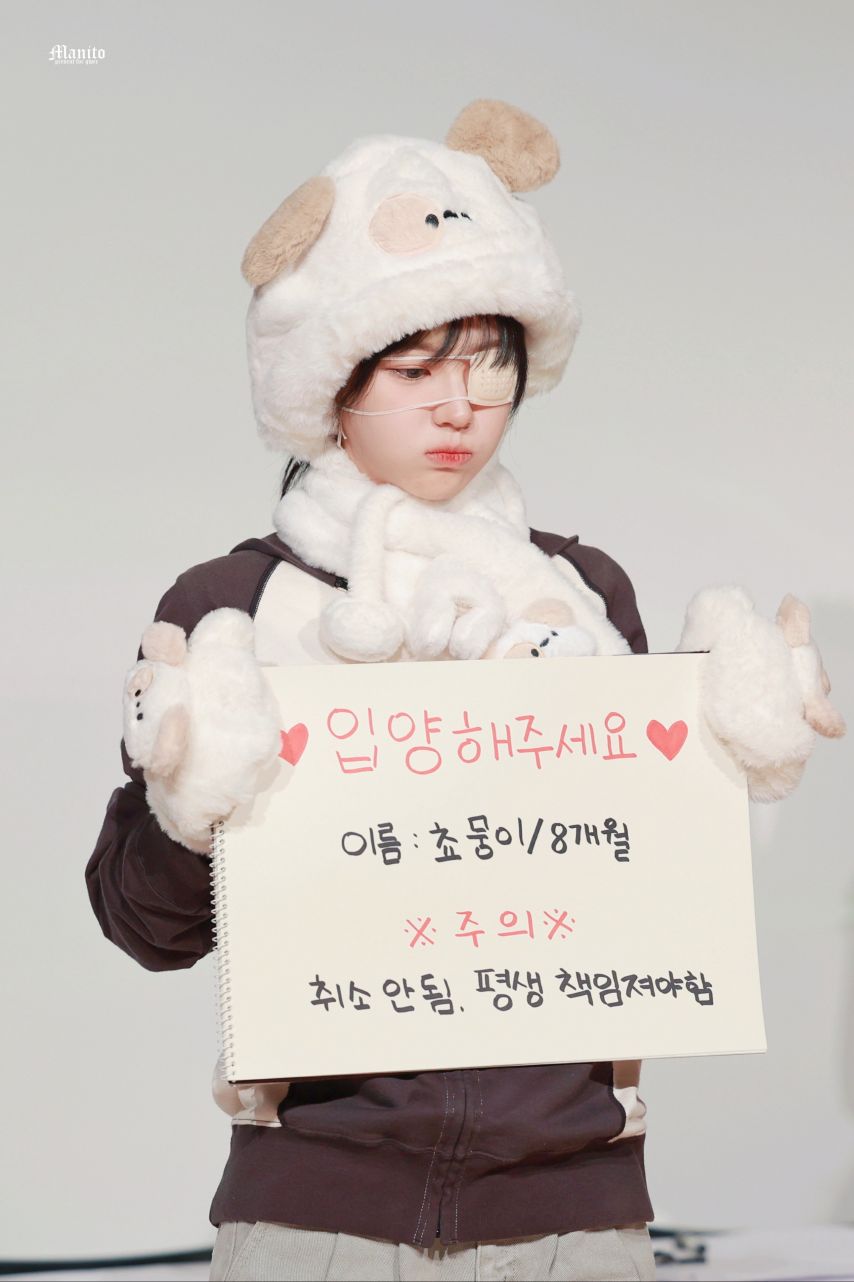 QWER 쵸단 분양 완료