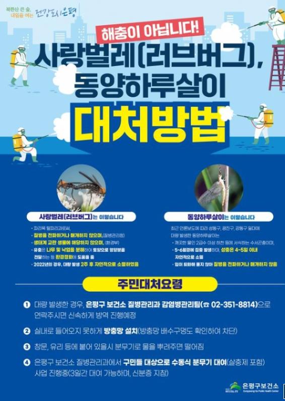 러브버그가 가장 많은 은평구 피셜