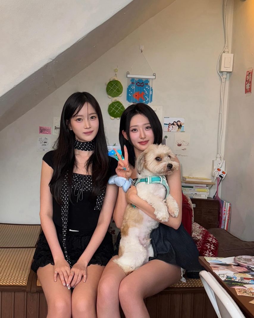 하이키 서이 휘서