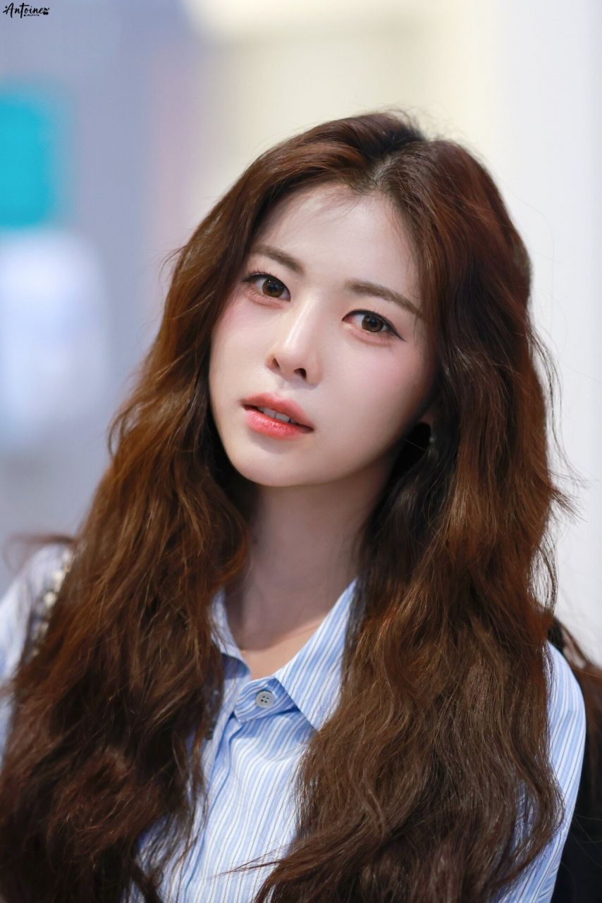 트리플에스 다현