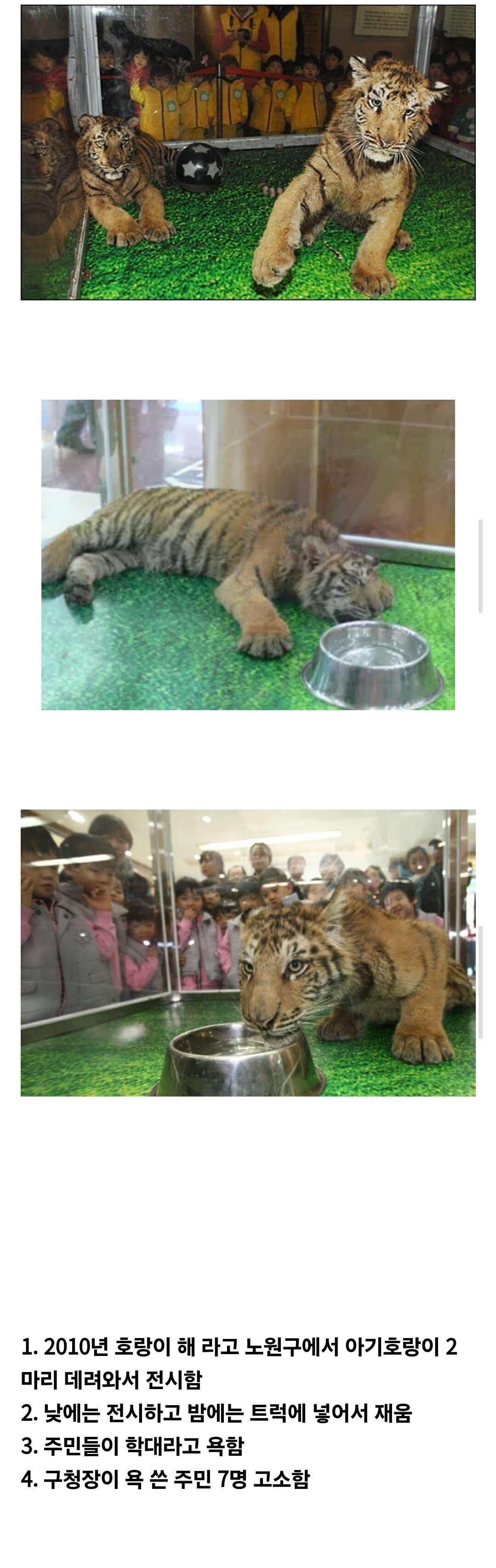 노원구청 레전드 사건.