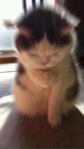 카메라 보면서 웃어주는 배우 하지원.MP