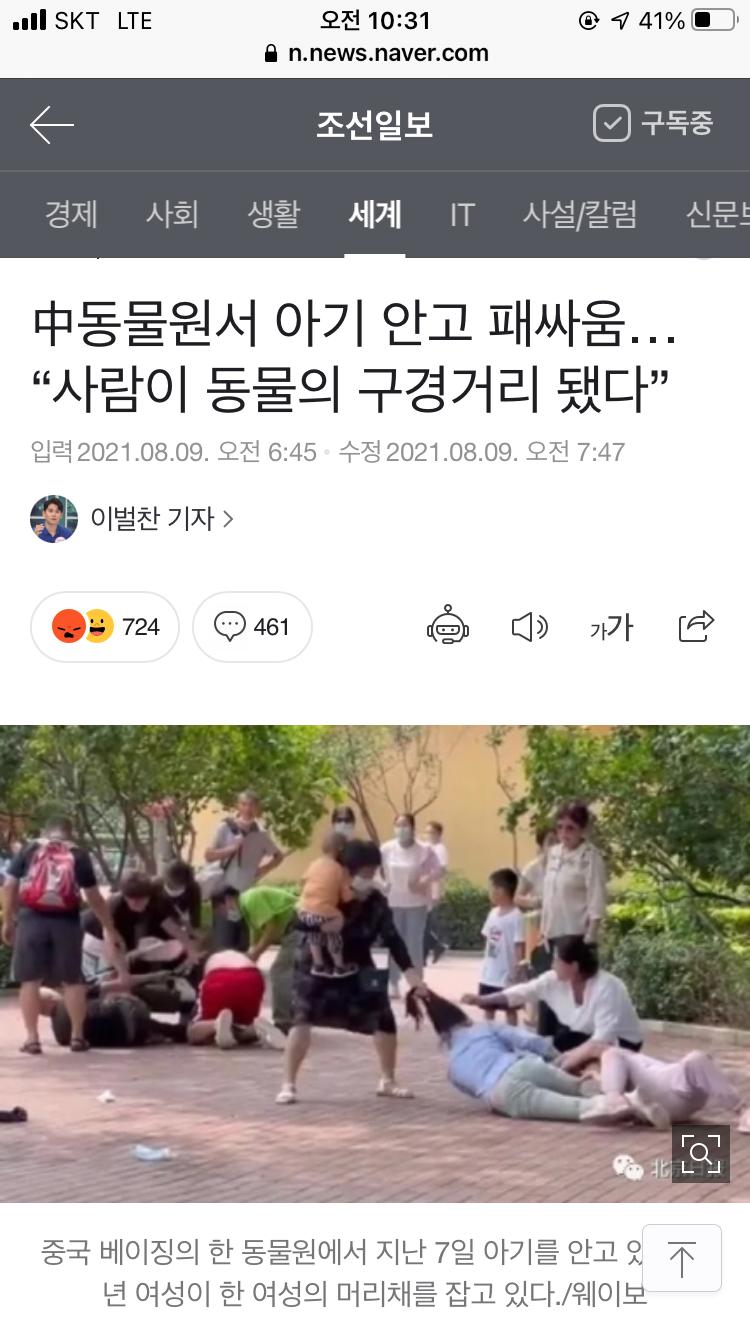 중국 동물원에서 아기안고 패싸움