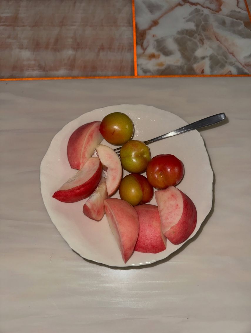 프로미스나인 이새롬,노지선