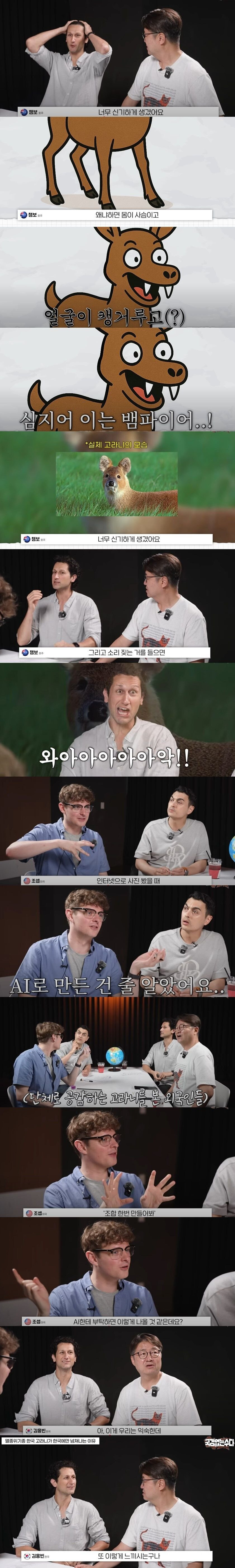 외국인들은 존재자체를 못믿겠다는 한국 토종 동물