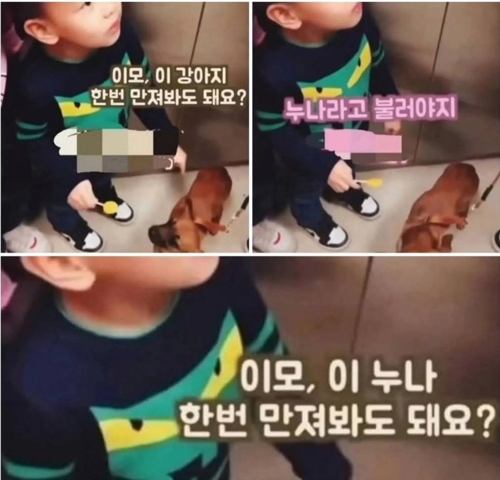 이모 말고 누나라 불러야지.