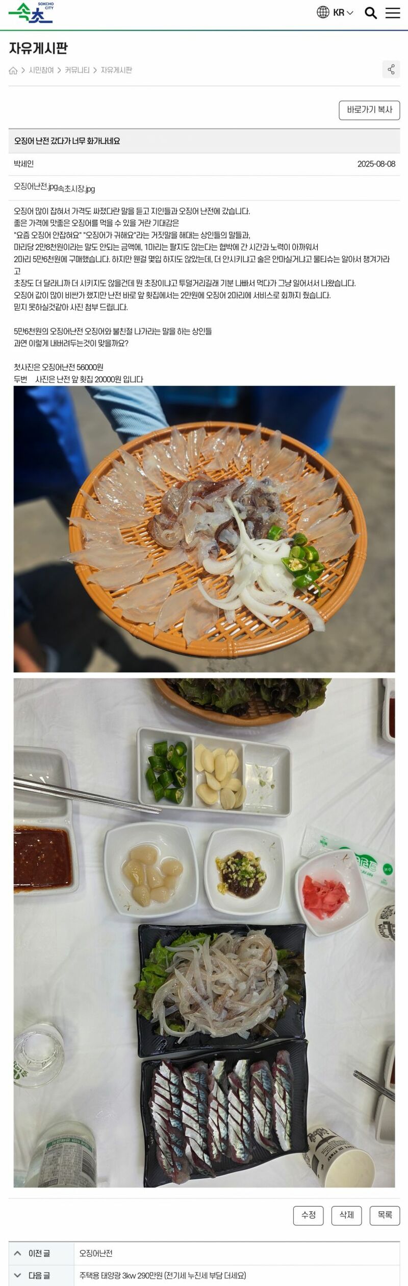 속초 한마리당 2만 8천원 오징어회 클라스