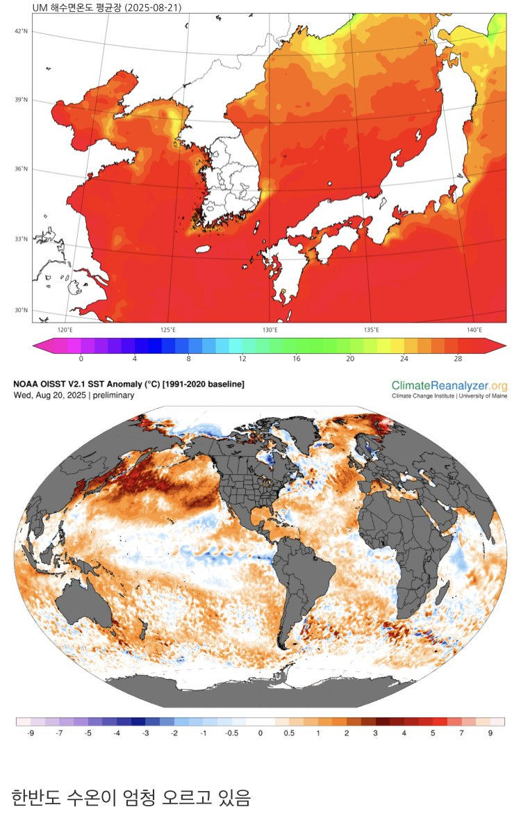 열돔 현상으로 11월이 위험할 수 있는 이유