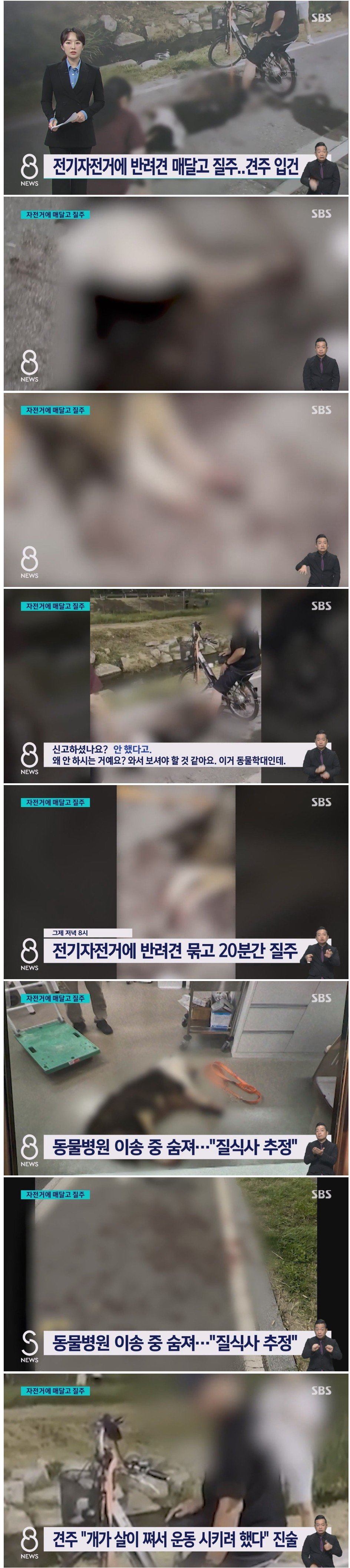 약혐) 죽을 때까지 '질질'…산책로 피범벅에 고통스러워 연신 울음.. 견주 '살쪄서 운동'