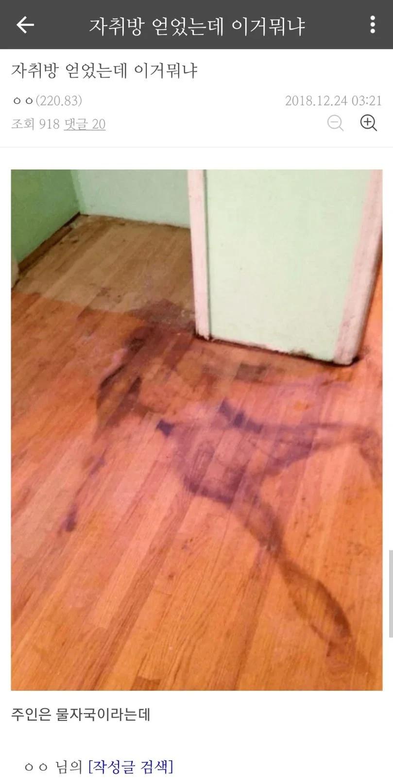 자취방 얻었는데 이거 뭐냐