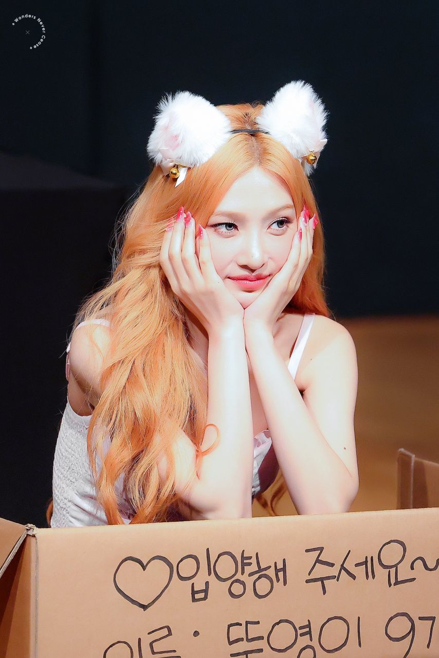 조이 (레드벨벳)