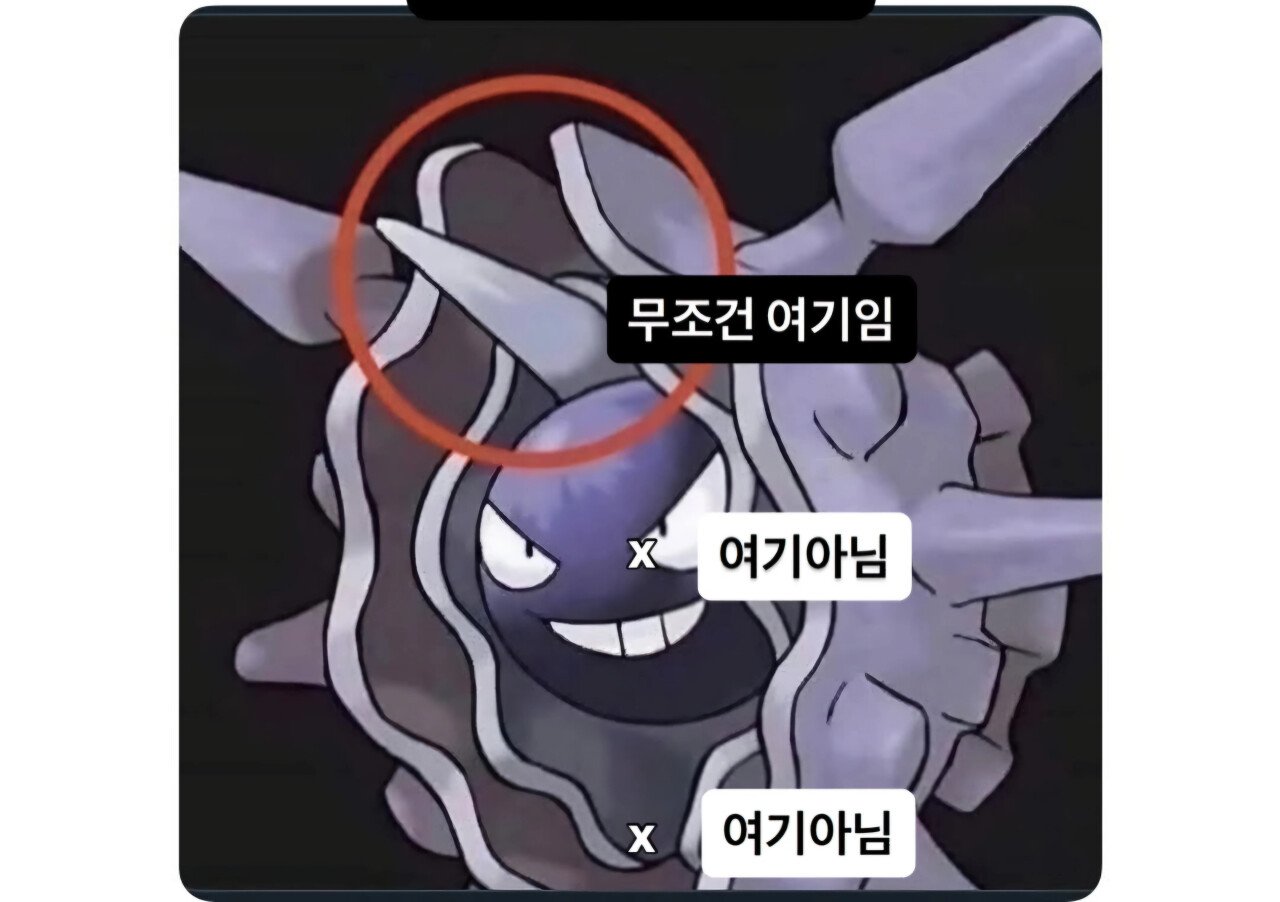 19)아다를 위한 성감대 강의