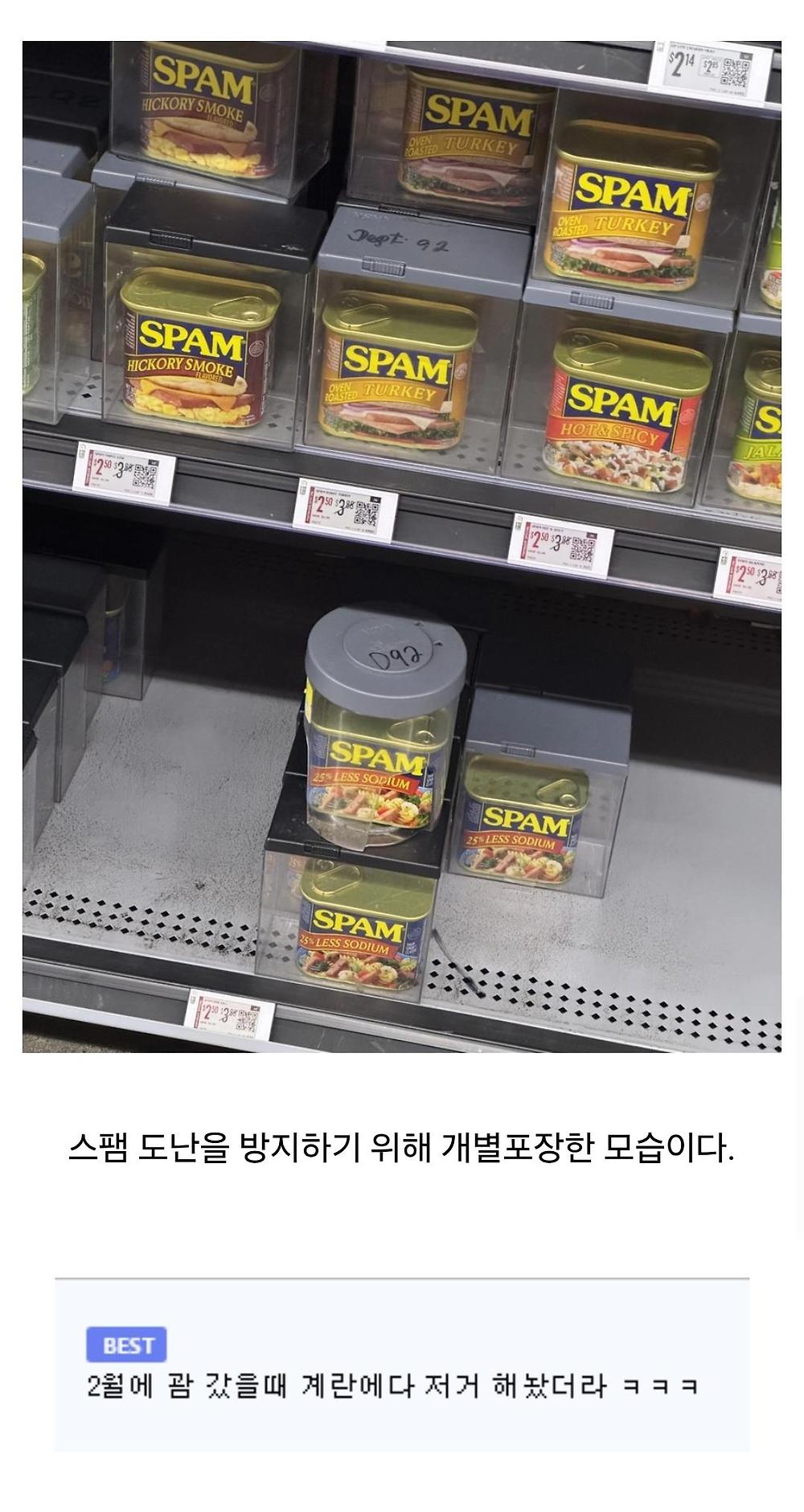 하와이 스팸 근황