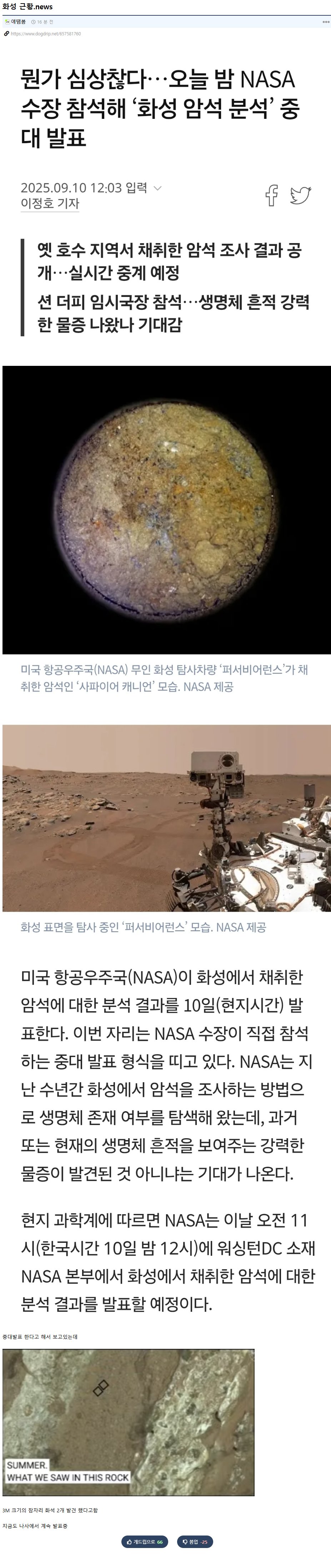 화성에서 3M 크기의 잠자리 화석 2개 발견