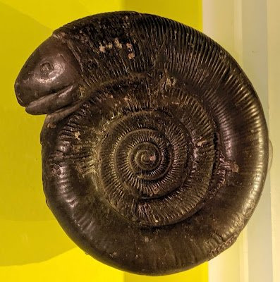 옛날 사람들 귀여운 점