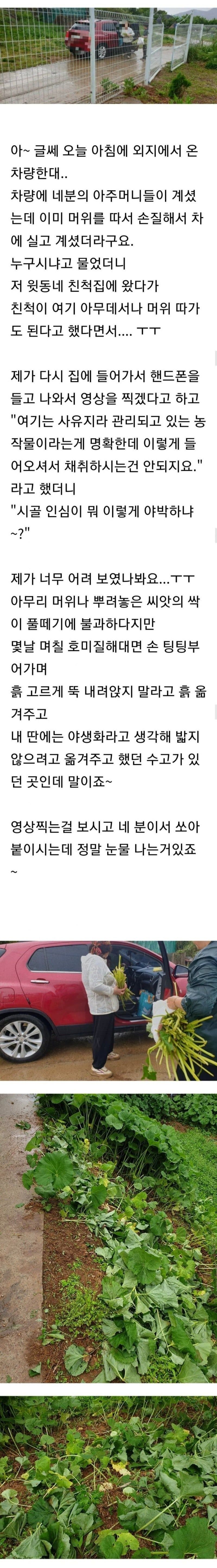 어메이징 시골인심