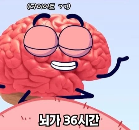 36시간 단식하면 몸에 나타나는 영향