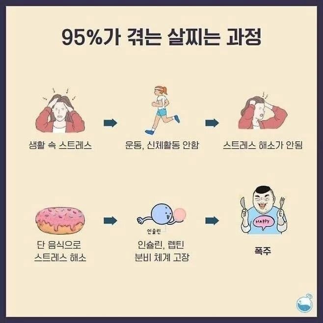 95%가 겪는다는 비만루틴