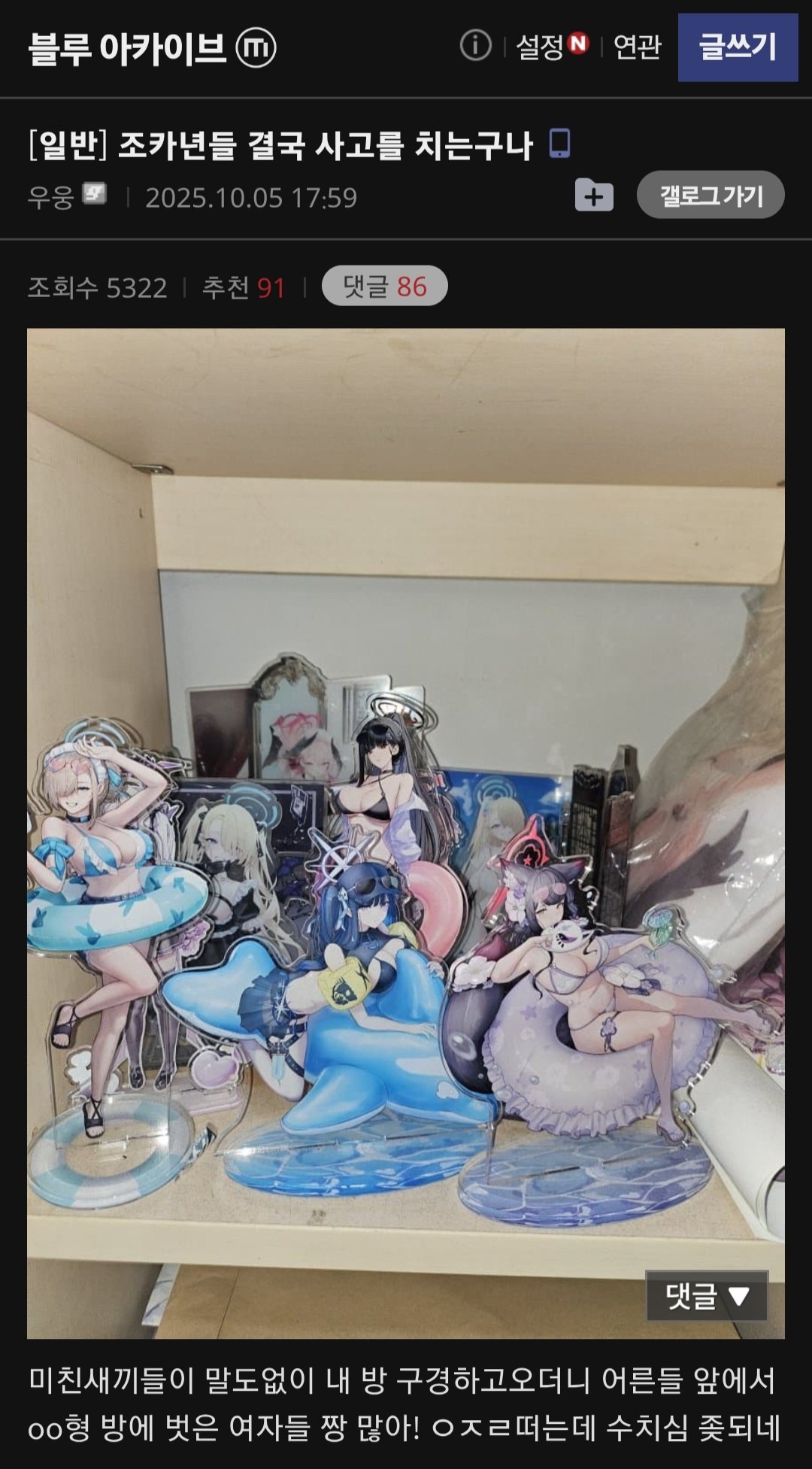 ㅎㅂ)조카들이 사고쳐서 수치심 느끼는 블아 유저...