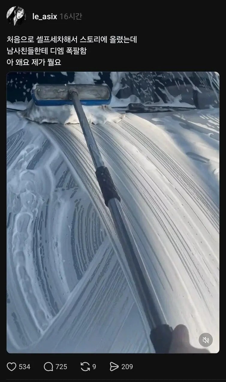 셀프세차 인증 올렸다가 먼지가 되도록 까인 여자