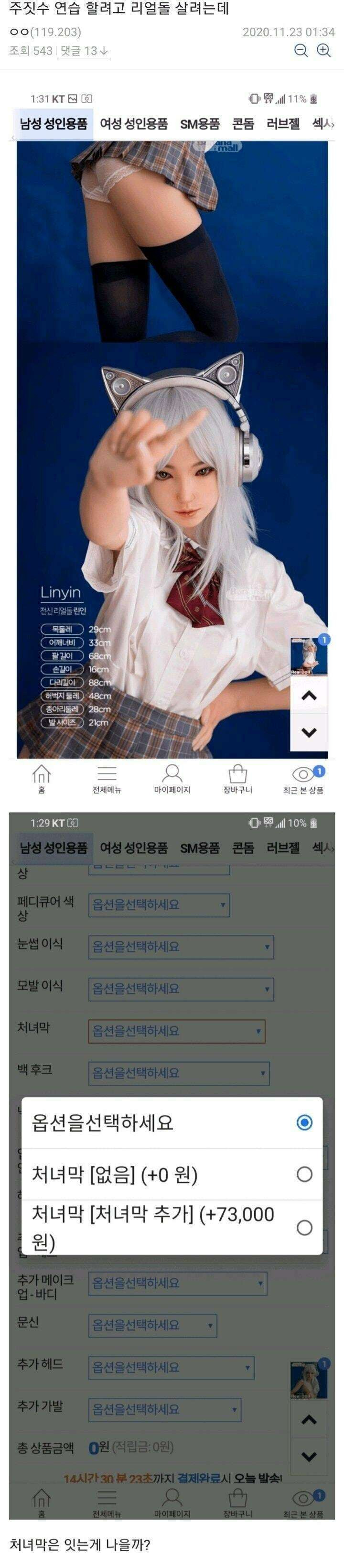 주짓수 연습 할려고 리얼돌 살건데 조언 좀