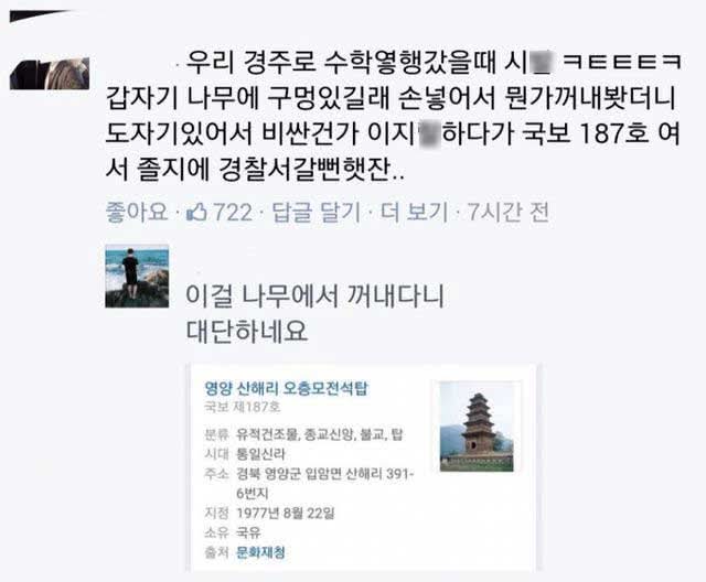 나무 구멍에 손 넣었다 국보 꺼낸 사람
