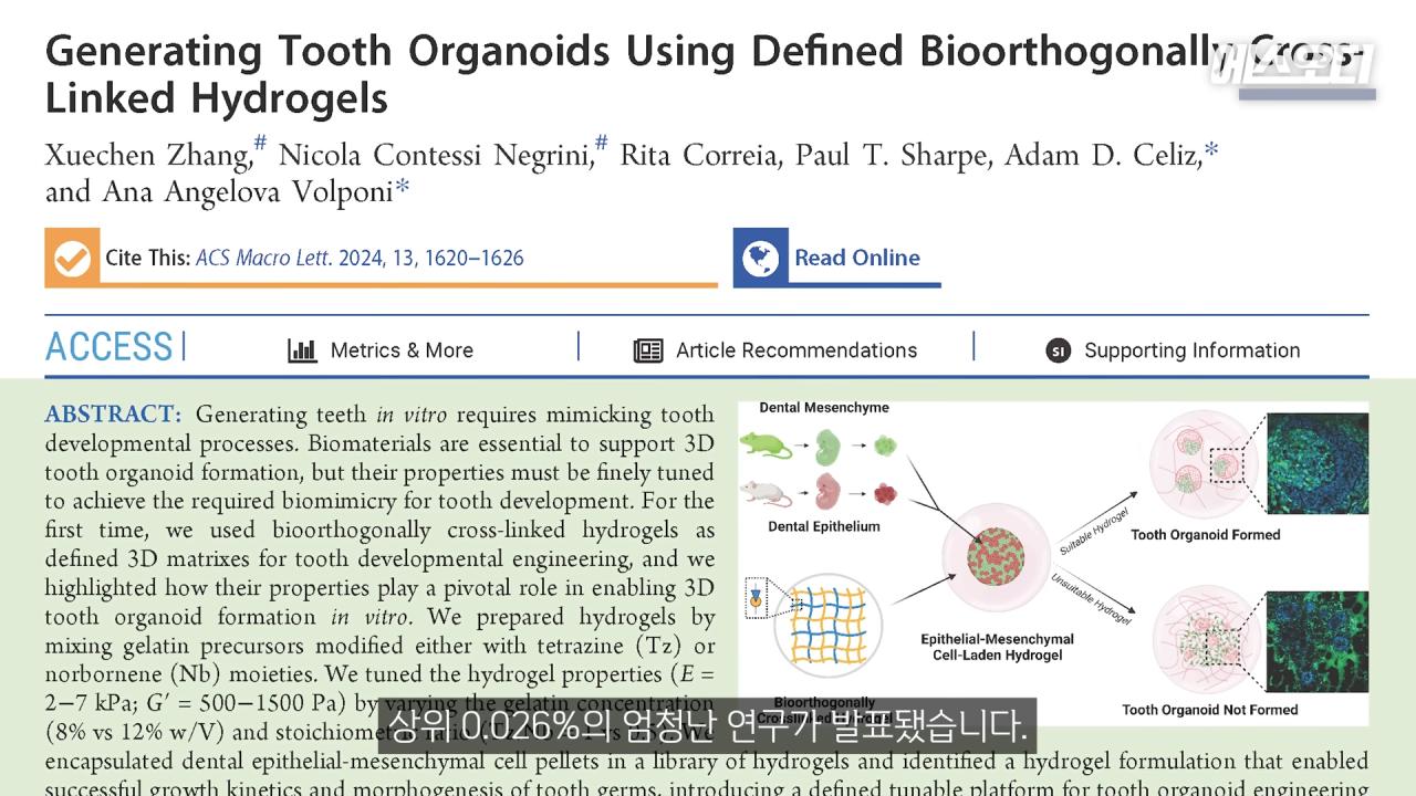 일본의 치아 재생 연구보다 더 주목 받고 있다는 영국 연구