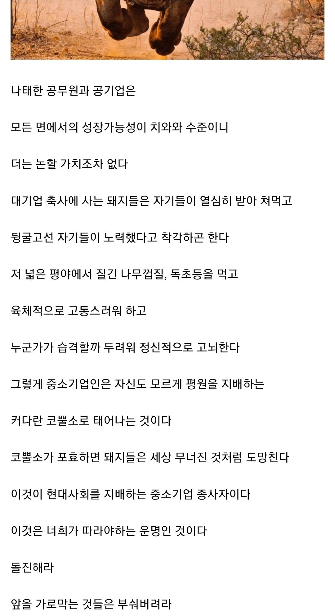 중갤러의 인생을 관통하는 명언