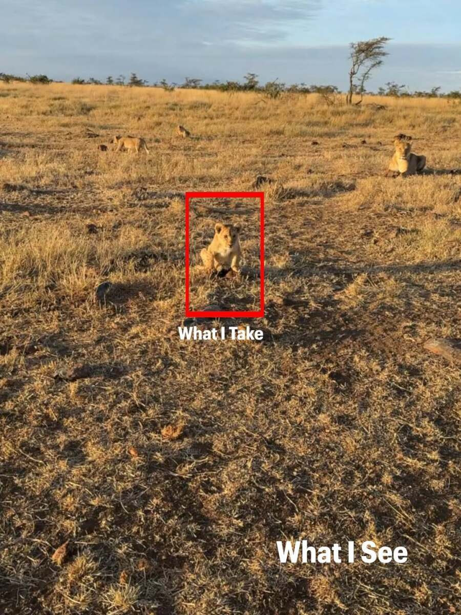 사진작가의 관점과 찍은 사진들