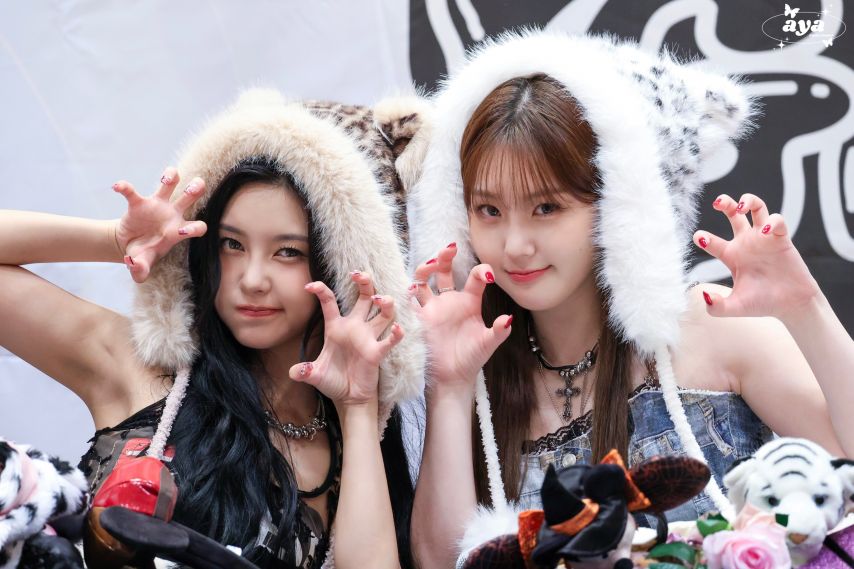 케플러 김다연 김채현