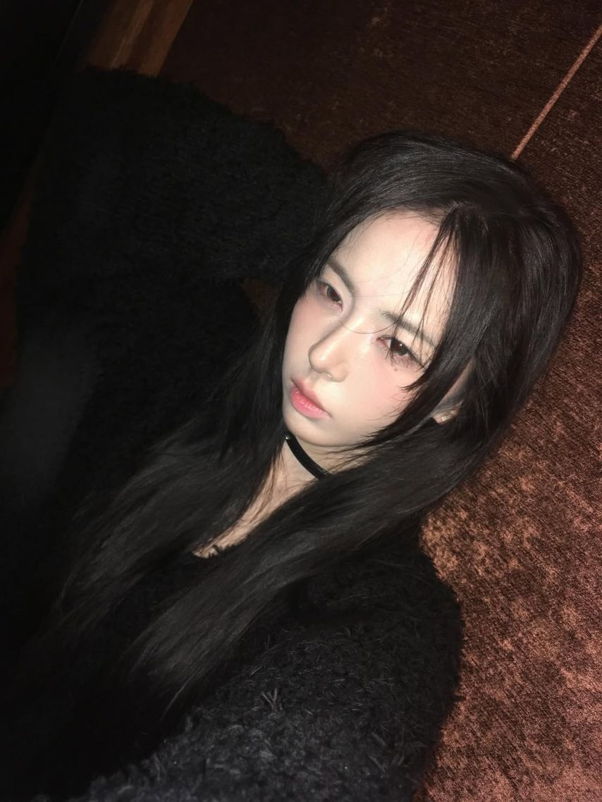 세이마이네임 슈이