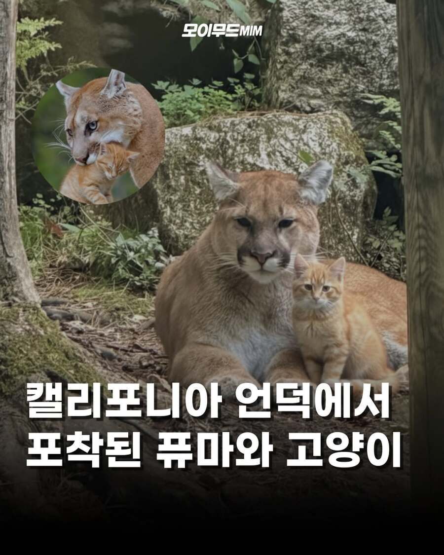 우리 애가 크지를 않네요