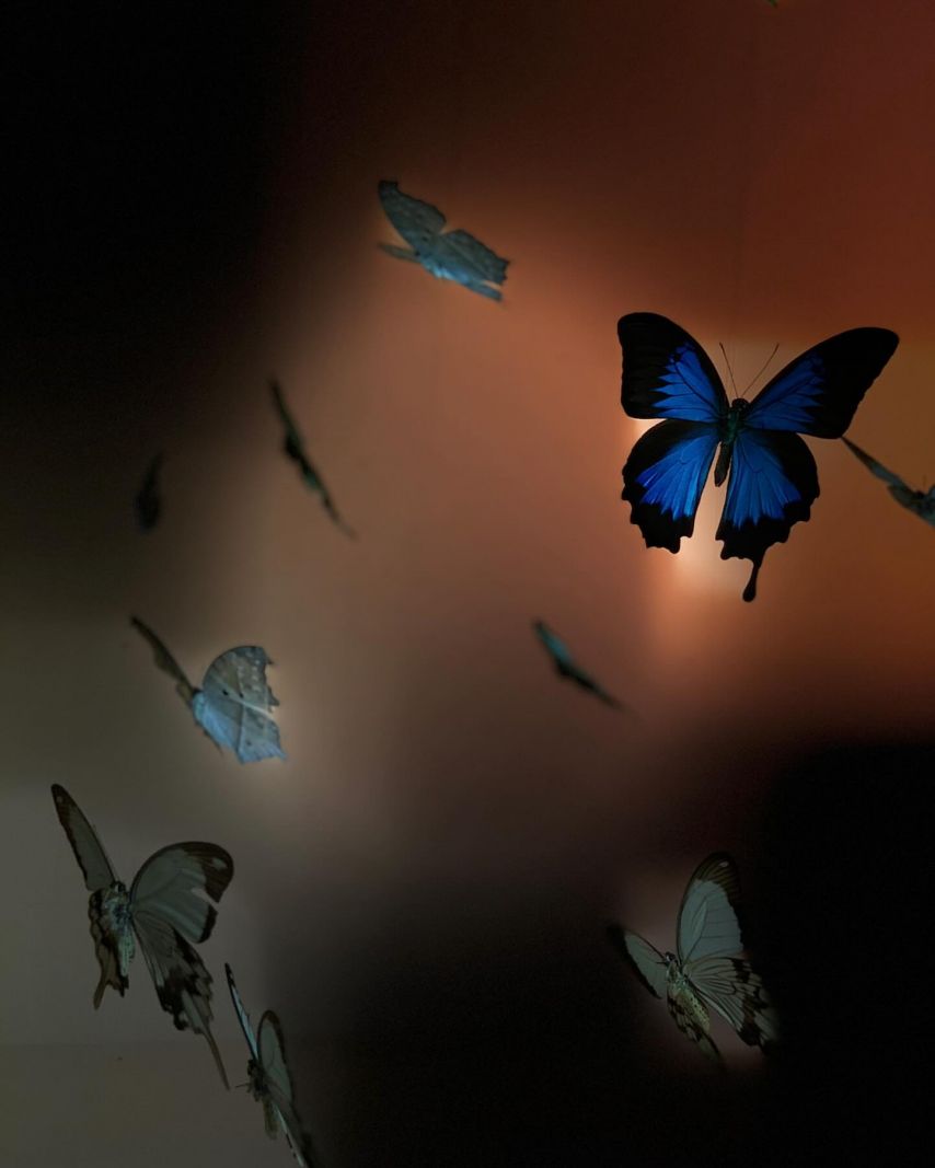 레드벨벳 아이린