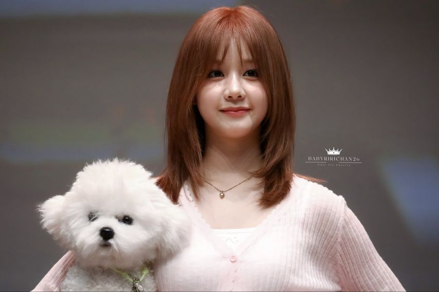 베이비몬스터 파리타