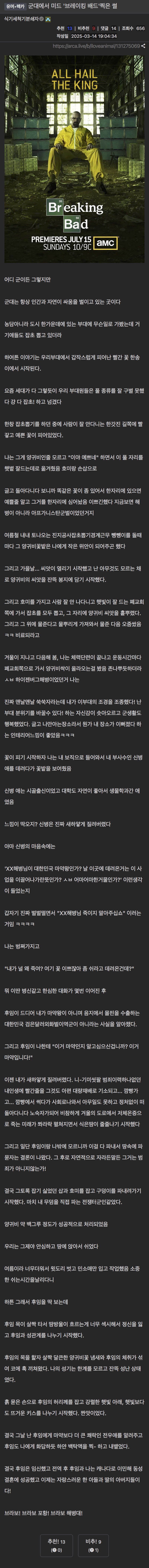 군대에서 브레이킹 배드 찍은 해병