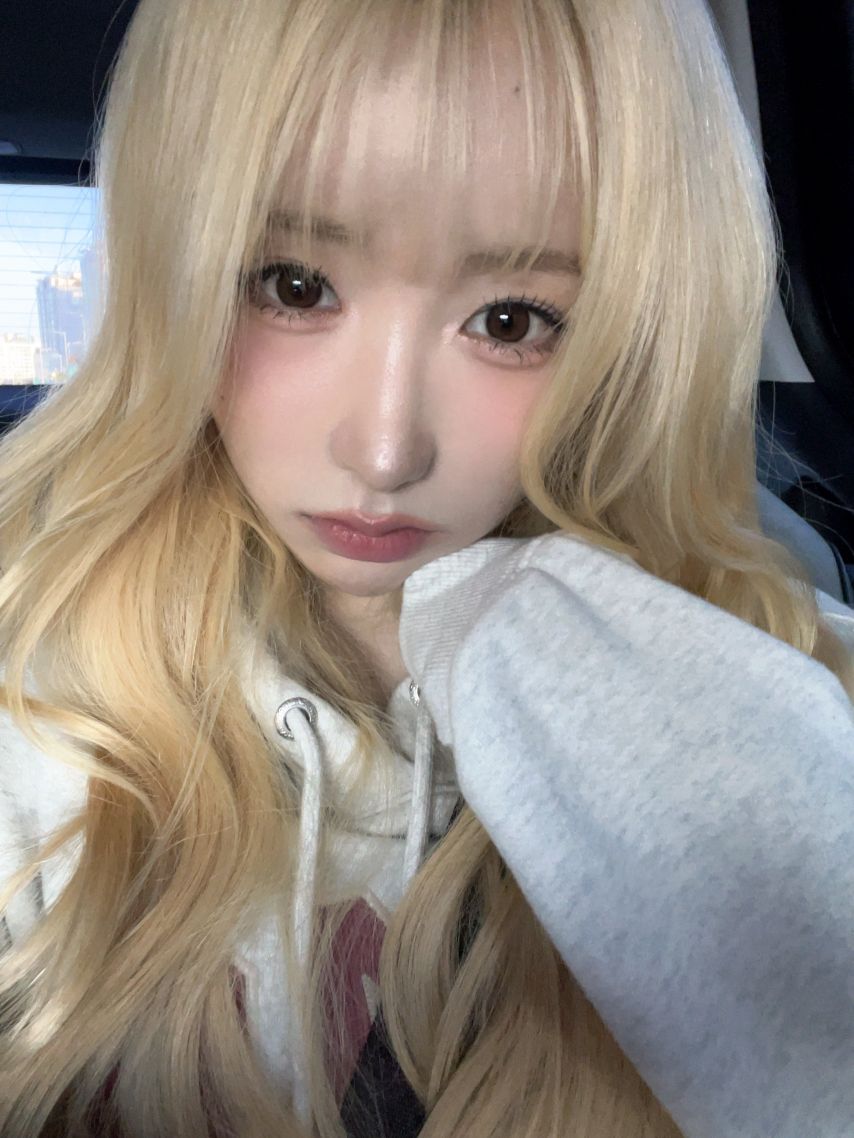 세이마이네임 메이