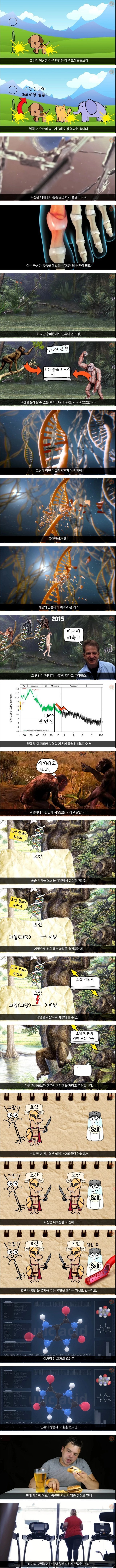 인간이 통풍에 걸리는 이유 ㄷㄷㄷㄷㄷㄷ