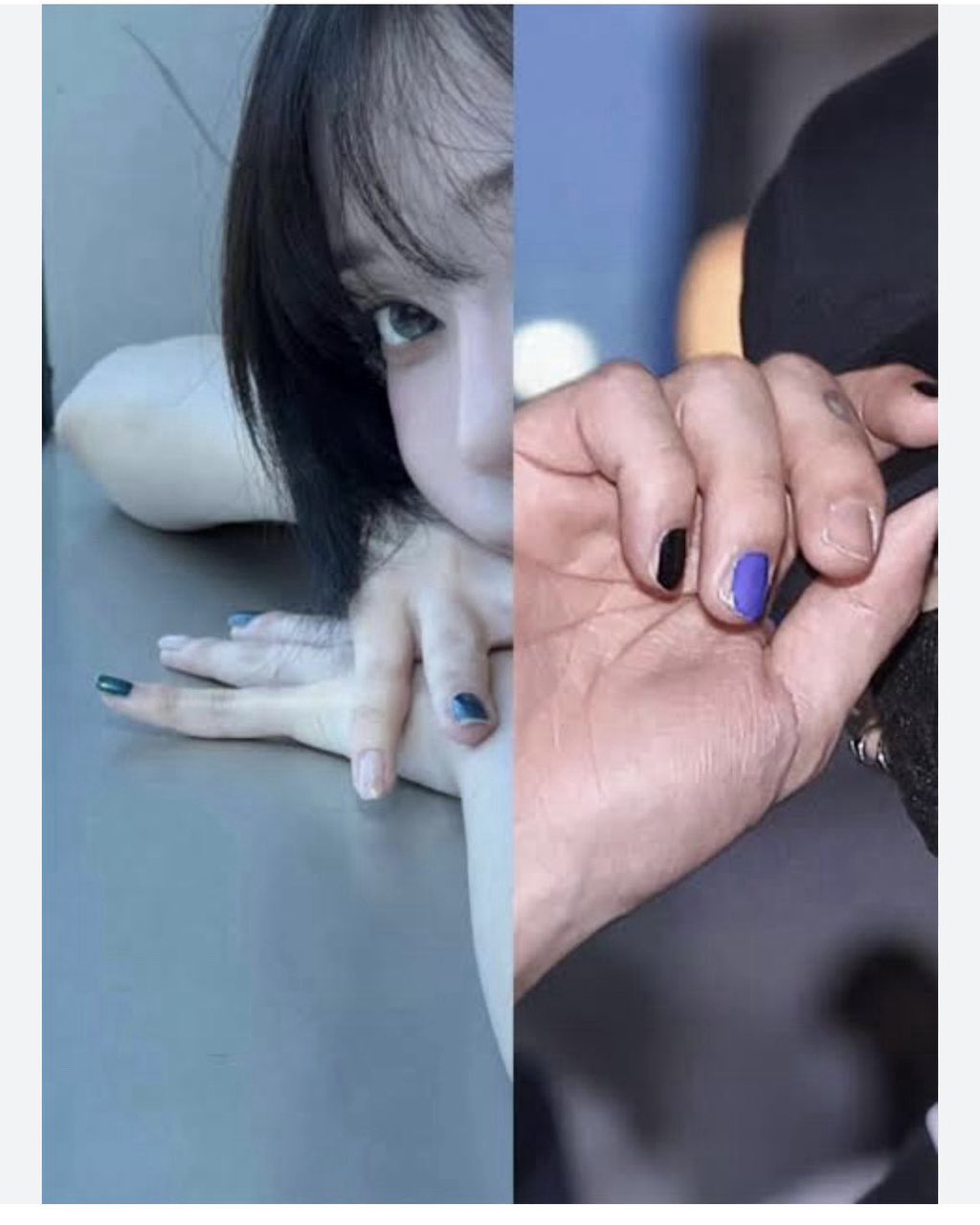 이미 짐작은 하고 있던 윈터팬들