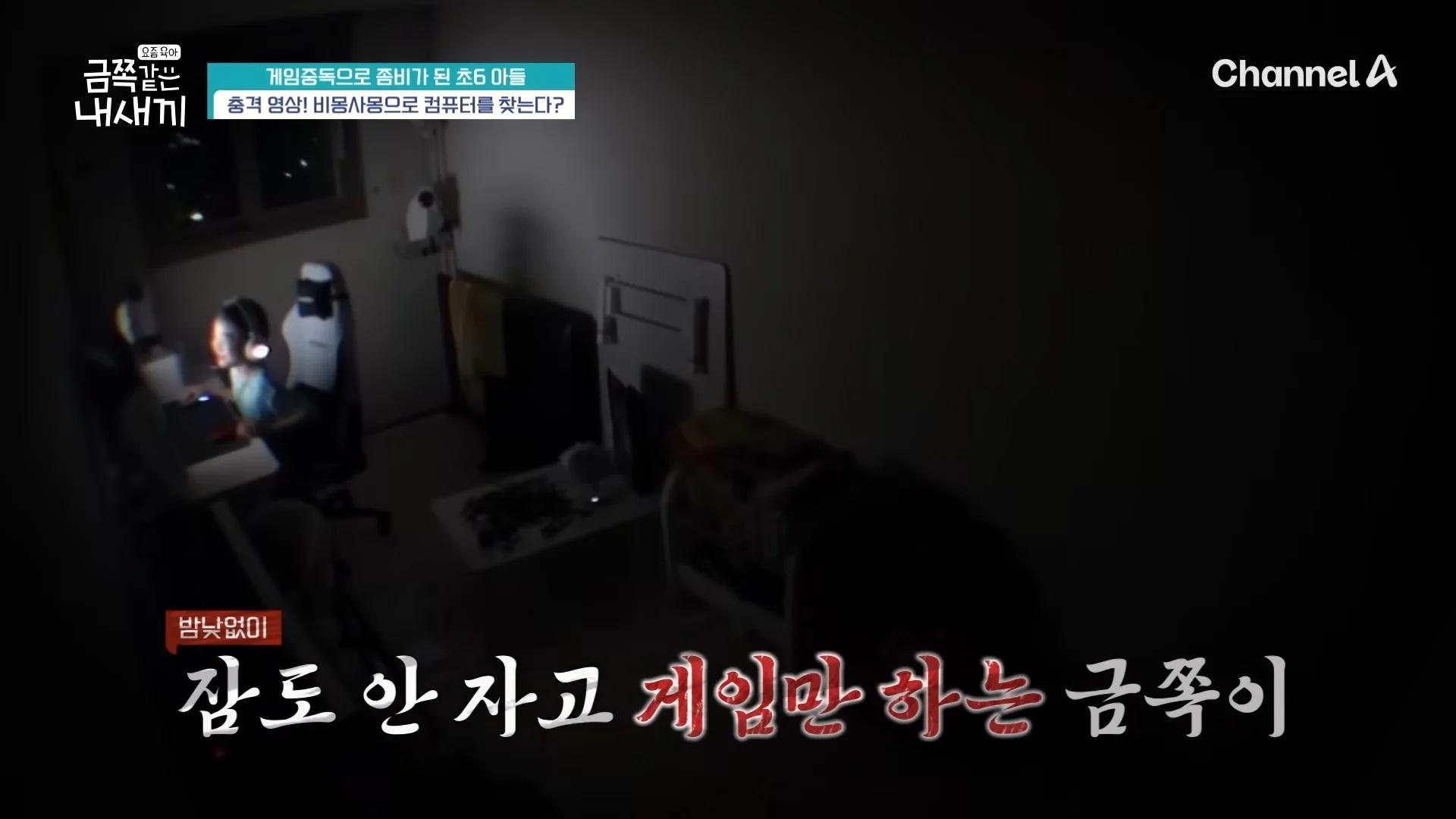 하루 12시간 게임 금쪽이