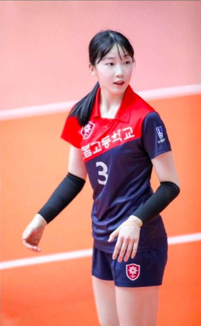 최서현 프로 배구선수