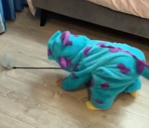 냥이 찾는 아기