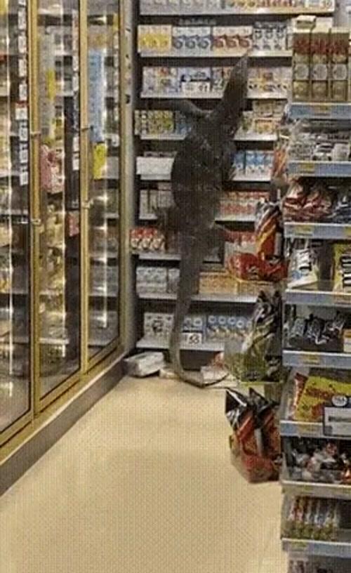 편의점에 진짜 진상손님왔다