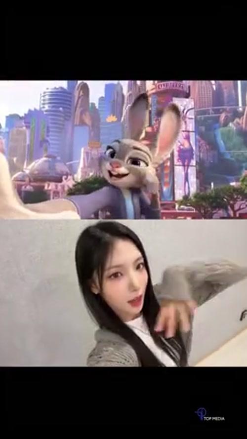 오드유스 써머, 마이카, 카니