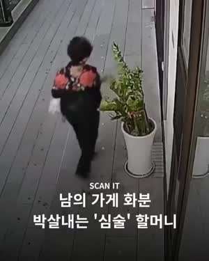 남의 가게 화분 몰래 박살내고 도망가는 할머니.gif