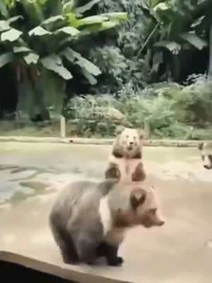 아저씨 여기요! 여기로도 던져주세요.