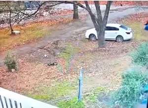 범인아, 너 뭐하니...?