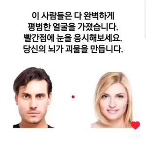 빨간점에 초점을 맞추니