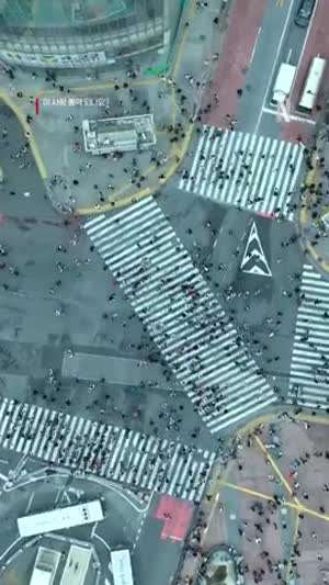 고윤정 김선호 이 사랑 통역 되나요?/ 고윤정 인별